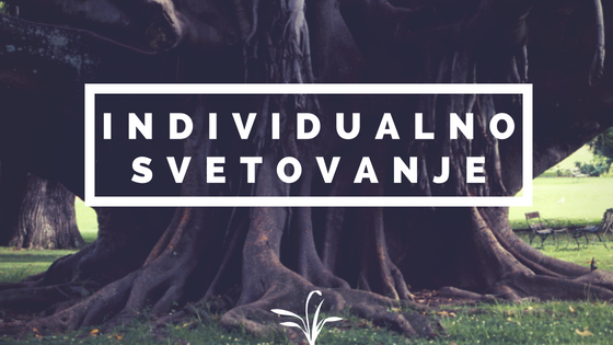 ind svet